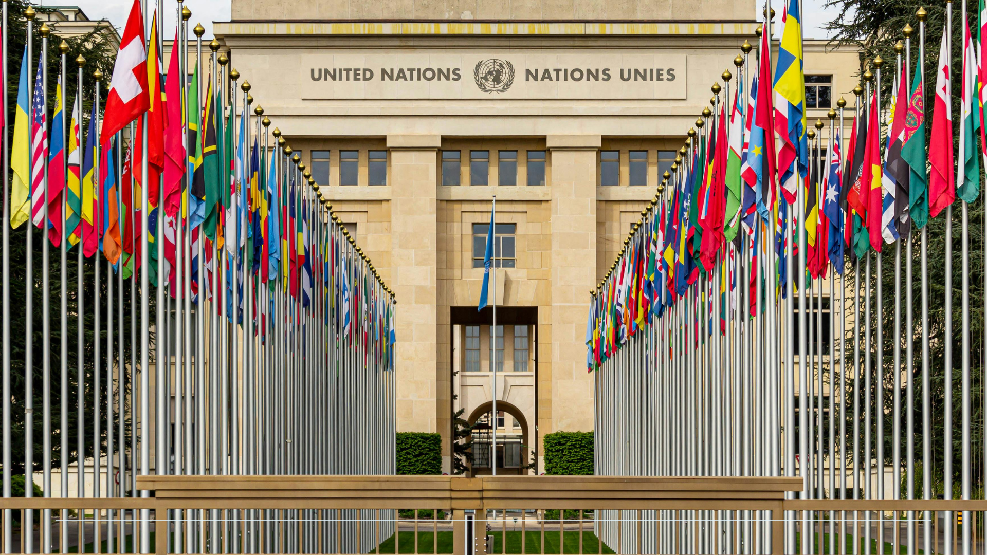 Diplomacia